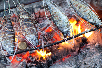 Gegrillte Forellen